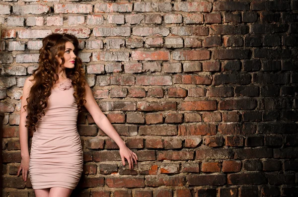 Sensual woman on old brick wall background — Stock Photo, Image