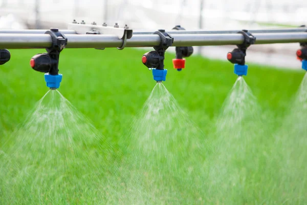 Greenhouse watering system in action — Stock Photo, Image