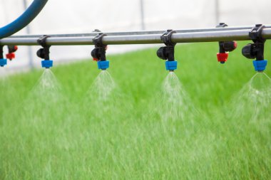 sera sulama sistemini iş başında izleyin