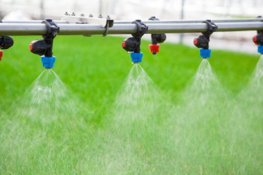 sera sulama sistemini iş başında izleyin