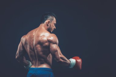 Silah, siyah arka plan üzerine Studio kas boksör.