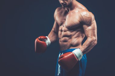 Silah, siyah arka plan üzerine Studio kas boksör.