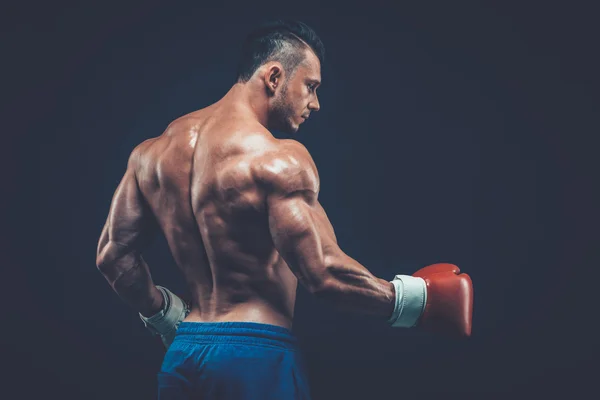 Boxer muscolare in studio di tiro, su sfondo nero . — Foto Stock