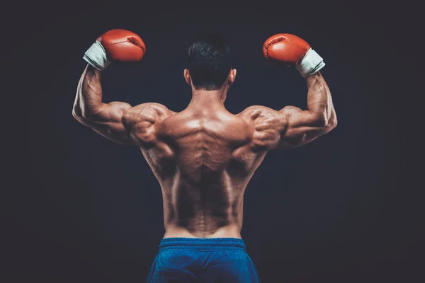 Boxer muscolare in studio di tiro, su sfondo nero . — Foto Stock