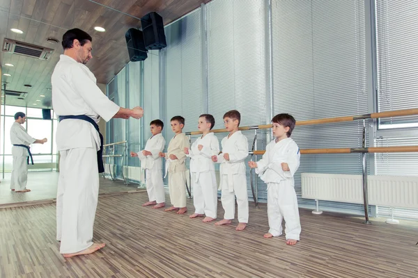 genç, güzel, başarılı çok etik çocuklar karate pozisyonda