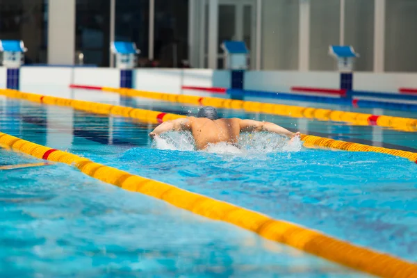 Dynamic and fit swimmer in cap breathing performing the butterfly stroke — Stock Photo, Image