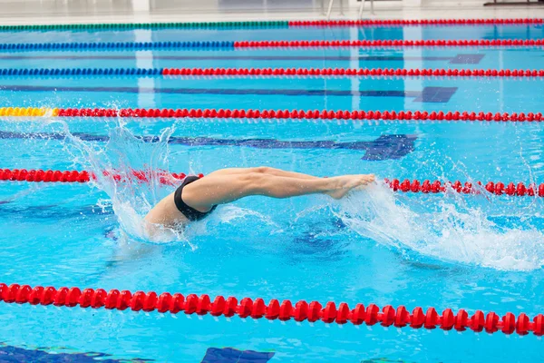 Young muscular swimmer jumping from starting block in a swimming pool — Stock Photo, Image