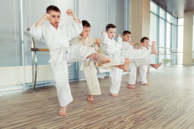 genç, güzel, başarılı çok etik çocuklar karate pozisyonda