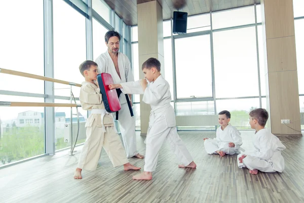 Junge, schöne, erfolgreiche multiethische Kinder in Karate-Stellung — Stockfoto