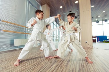 genç, güzel, başarılı çok etik çocuklar karate pozisyonda