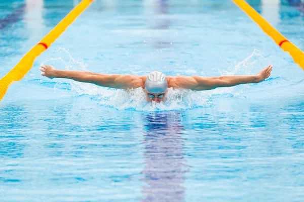 Dinamikus és alkalmas úszó Cap légzés, teljesítő a pillangóúszás — Stock Fotó