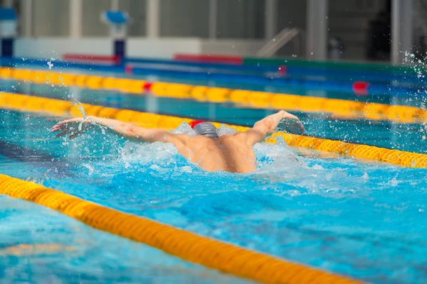 Nuotatore dinamico e in forma in cap respirando eseguendo il colpo della farfalla — Foto Stock