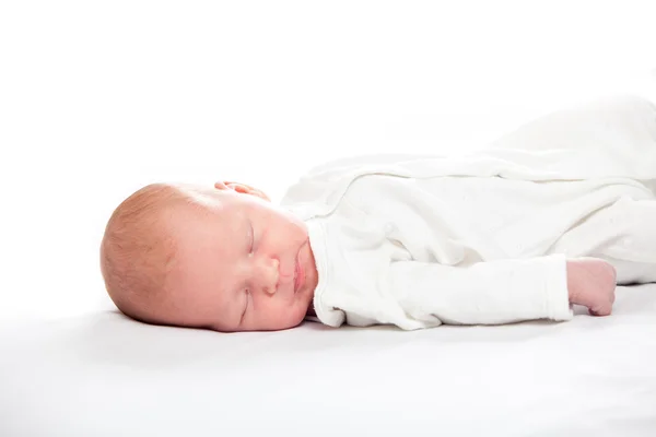 Newborn baby peacefully sleeping — Stock Photo, Image