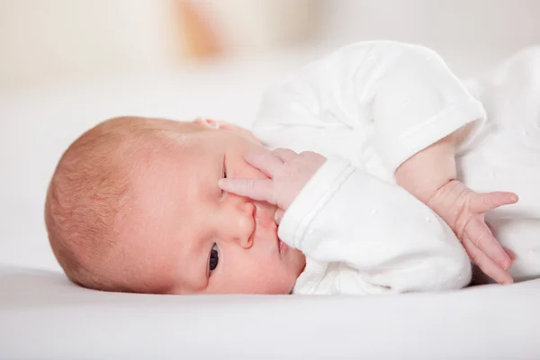 Bebé recién nacido tumbado pacíficamente, sobre un fondo blanco —  Fotos de Stock