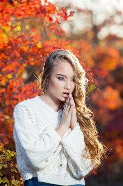 güzel genç kadın kıvırcık saçlı bir arka plan kırmızı ve sarı sonbahar yaprakları