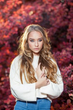 güzel kıvırcık saçlı genç kadın bir arka plan kırmızı ve sarı sonbahar yaprakları