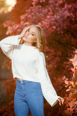 güzel kıvırcık saçlı genç kadın bir arka plan kırmızı ve sarı sonbahar yaprakları