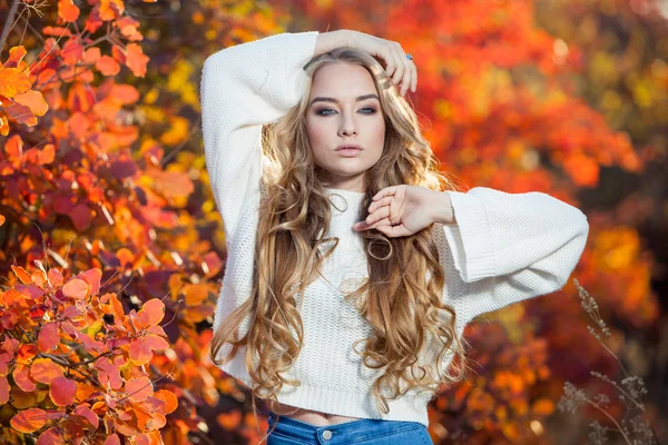 Hermosa joven con el pelo rizado sobre un fondo de hojas de otoño rojas y amarillas — Foto de Stock