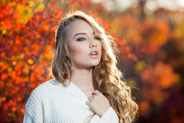 Güzel genç kadın kıvırcık saçlı bir arka plan kırmızı ve sarı sonbahar yaprakları — Stok fotoğraf