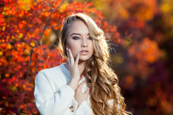 Krásná mladá žena s kudrnatými vlasy na pozadí červené a žluté podzimní listy — Stock fotografie