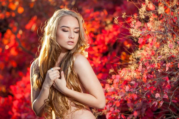 Mujer joven sobre un fondo de hojas de otoño rojas y amarillas con hermoso pelo rizado en el pecho, sin ropa —  Fotos de Stock