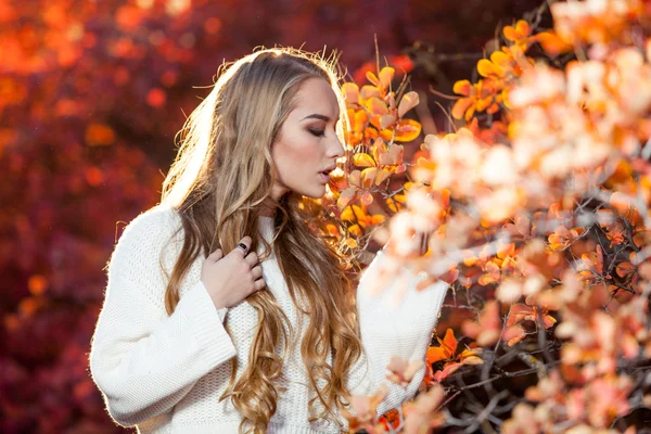 Jeune femme sur un fond de feuilles d'automne rouges et jaunes avec de beaux cheveux bouclés — Photo