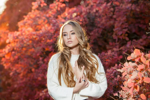 Mujer joven sobre un fondo de hojas de otoño rojas y amarillas con hermoso pelo rizado — Foto de Stock