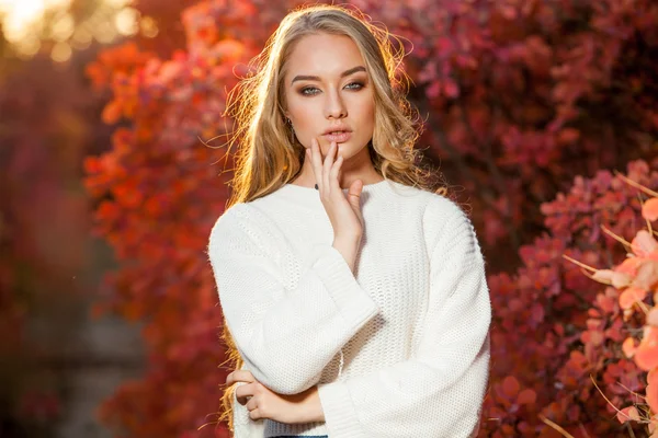 Mujer joven sobre un fondo de hojas de otoño rojas y amarillas con hermoso pelo rizado — Foto de Stock