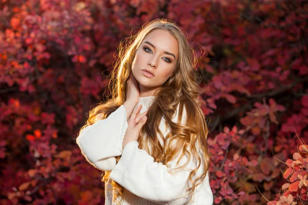 Mujer joven sobre un fondo de hojas de otoño rojas y amarillas con hermoso pelo rizado — Foto de Stock