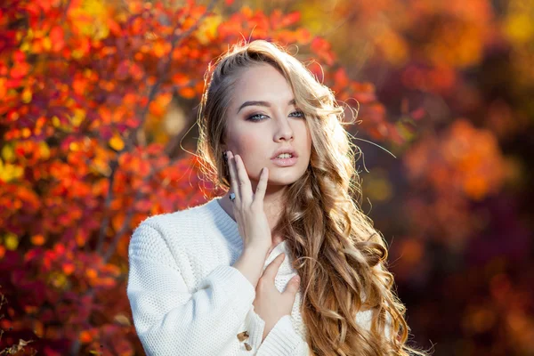 Wanita muda cantik dengan rambut keriting dengan latar belakang merah dan kuning daun musim gugur — Stok Foto