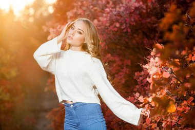 güzel kıvırcık saçlı genç kadın bir arka plan kırmızı ve sarı sonbahar yaprakları