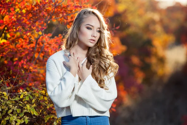 Beautiful young woman with curly hair against a background of red and yellow autumn leaves — Stock Photo, Image