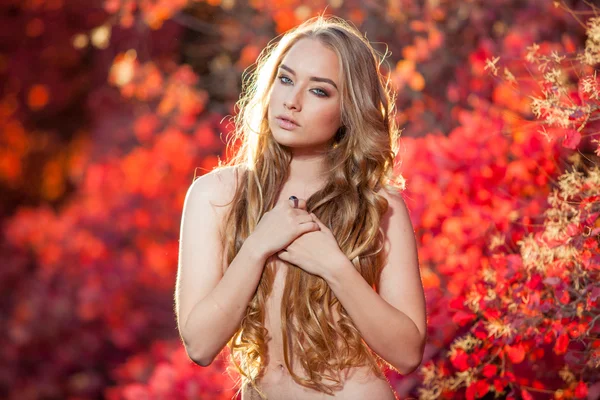 Mujer joven sobre un fondo de hojas de otoño rojas y amarillas con hermoso pelo rizado en el pecho, sin ropa —  Fotos de Stock