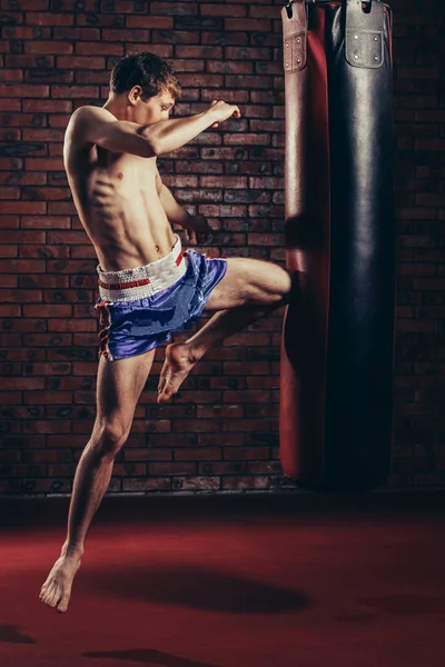 uygulama sırasında güçlü bir ileri tekme ile boks torbası, yuvarlak veren kas yakışıklı savaşçı kickboks