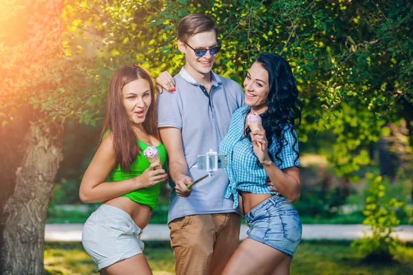 Group of friends taking picture themselves with monopod use smart phone take photograph selfie stick in park — Stock fotografie