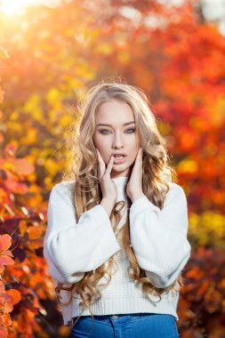 güzel genç kadın kıvırcık saçlı bir arka plan kırmızı ve sarı sonbahar yaprakları