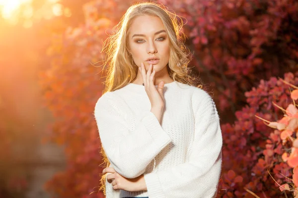 Mujer joven sobre un fondo de hojas de otoño rojas y amarillas con hermoso pelo rizado —  Fotos de Stock