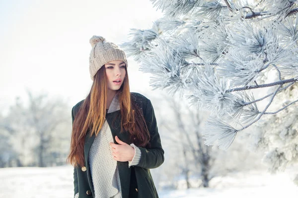 Hermoso retrato de invierno de mujer joven en el paisaje nevado —  Fotos de Stock