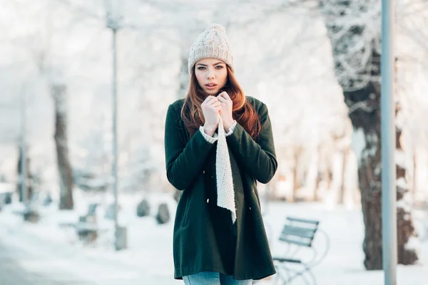 Красивий зимовий портрет молодої жінки в засніжених пейзажах — стокове фото