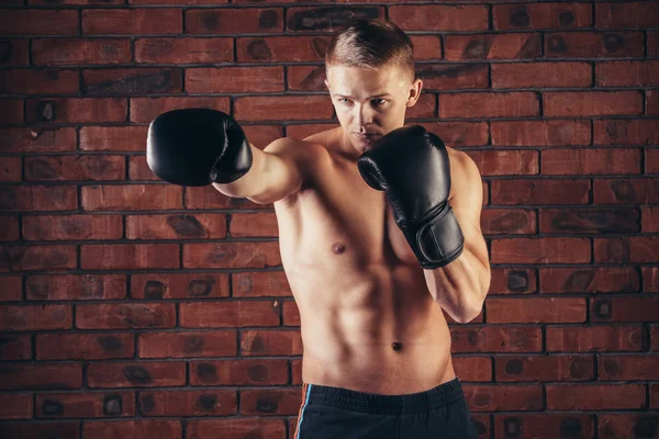 Portrait of mma fighter in boxing pose against brick wall — Stock Photo, Image