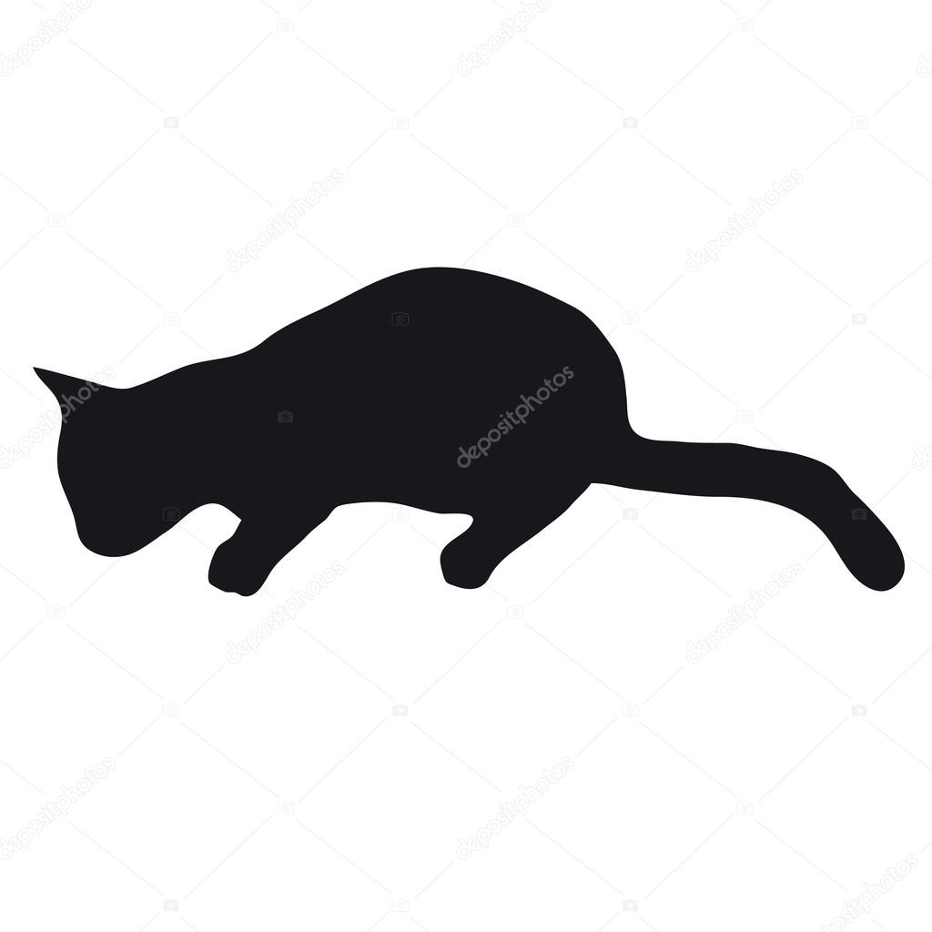 Velký balck kořist