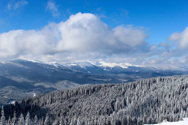 Snow-capped mountains — Stock Photo, Image