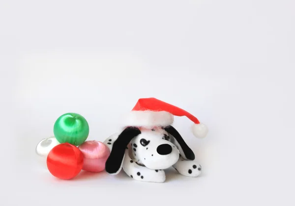 Рождественский далматинский щенок — стоковое фото