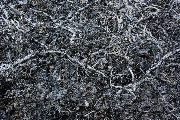 Arka plan külleri. Kopya alanı.