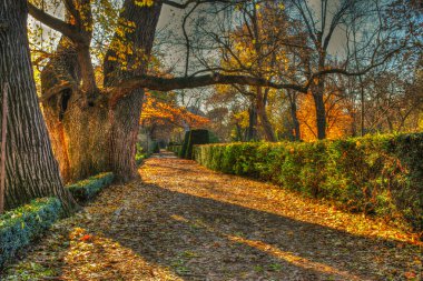 Retiro Parkı