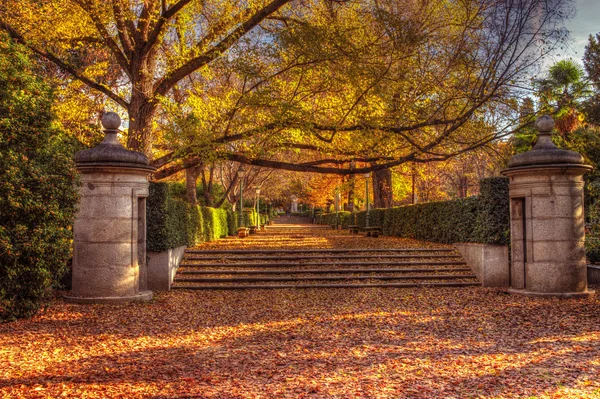 Retiro-parken — Stockfoto