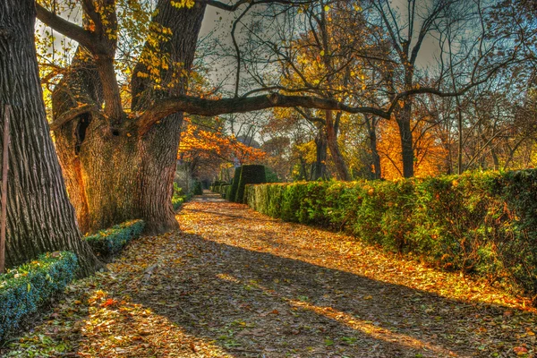 Retiro-parken — Stockfoto