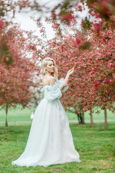 Szőke Tavasszal Egy Rózsaszín Virágzó Kertben Egy Gyönyörű Kék Ruhában — Stock Fotó