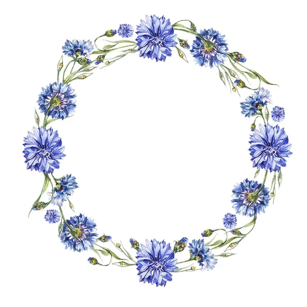 Coroană Flori Din Flori Porumb Albastru Acuarelă Fotografie de stoc