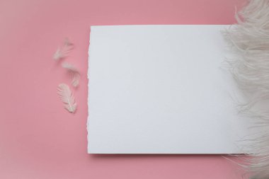 Pembe tonlarda minimalist ışık arkaplanı. Pembe arka planda beyaz bir sayfa, etrafında tüyler var. Nazik, pofuduk ve romantik.